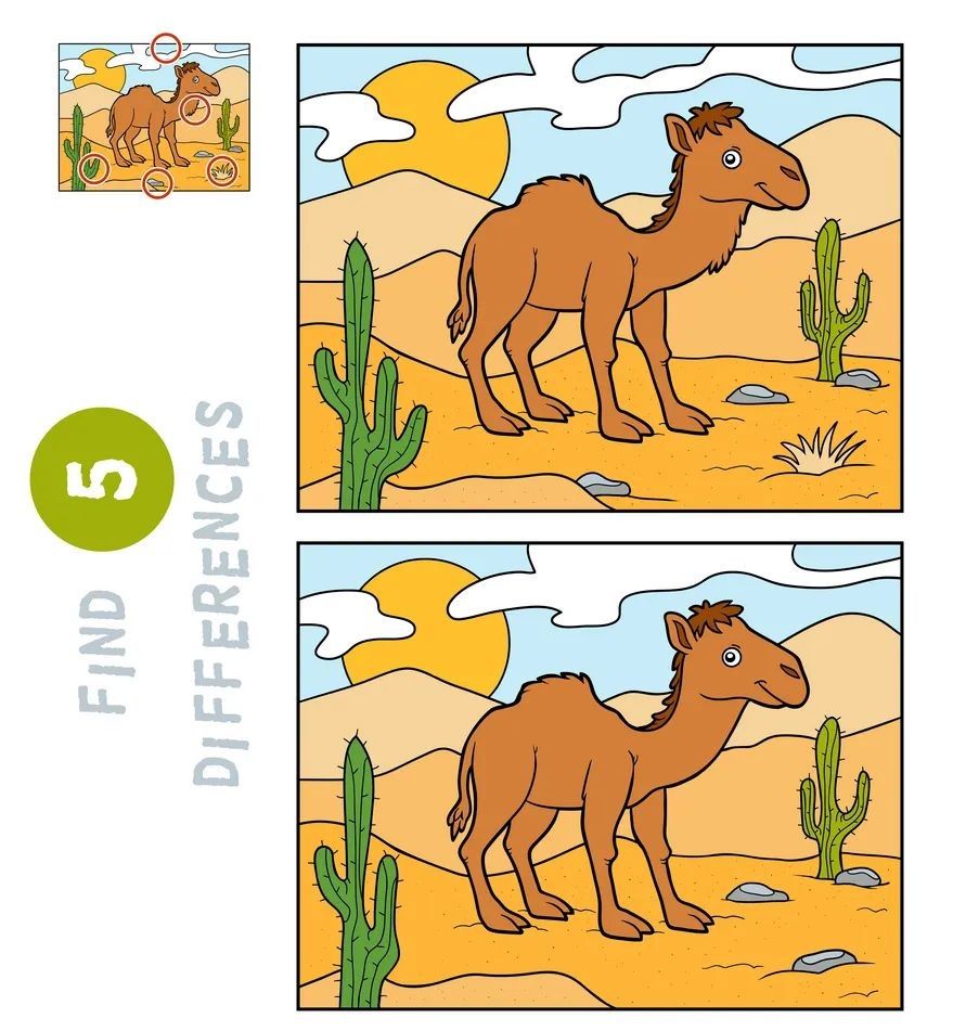 İki Resim Arasındaki 5 Farkı Bul