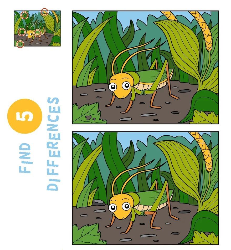 İki Resim Arasındaki 5 Farkı Bul