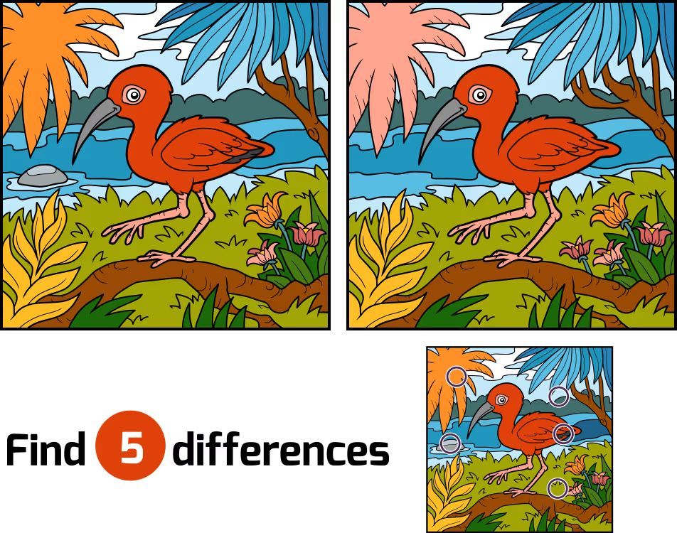 İki Resim Arasındaki 5 Farkı Bul