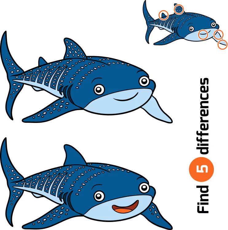 İki Resim Arasındaki 5 Farkı Bul