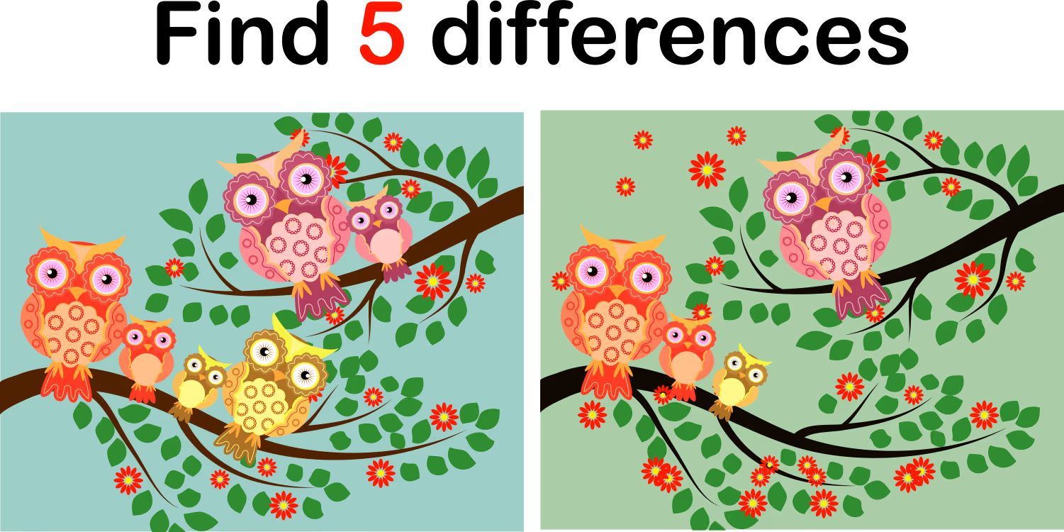 İki Resim Arasındaki 5 Farkı Bul