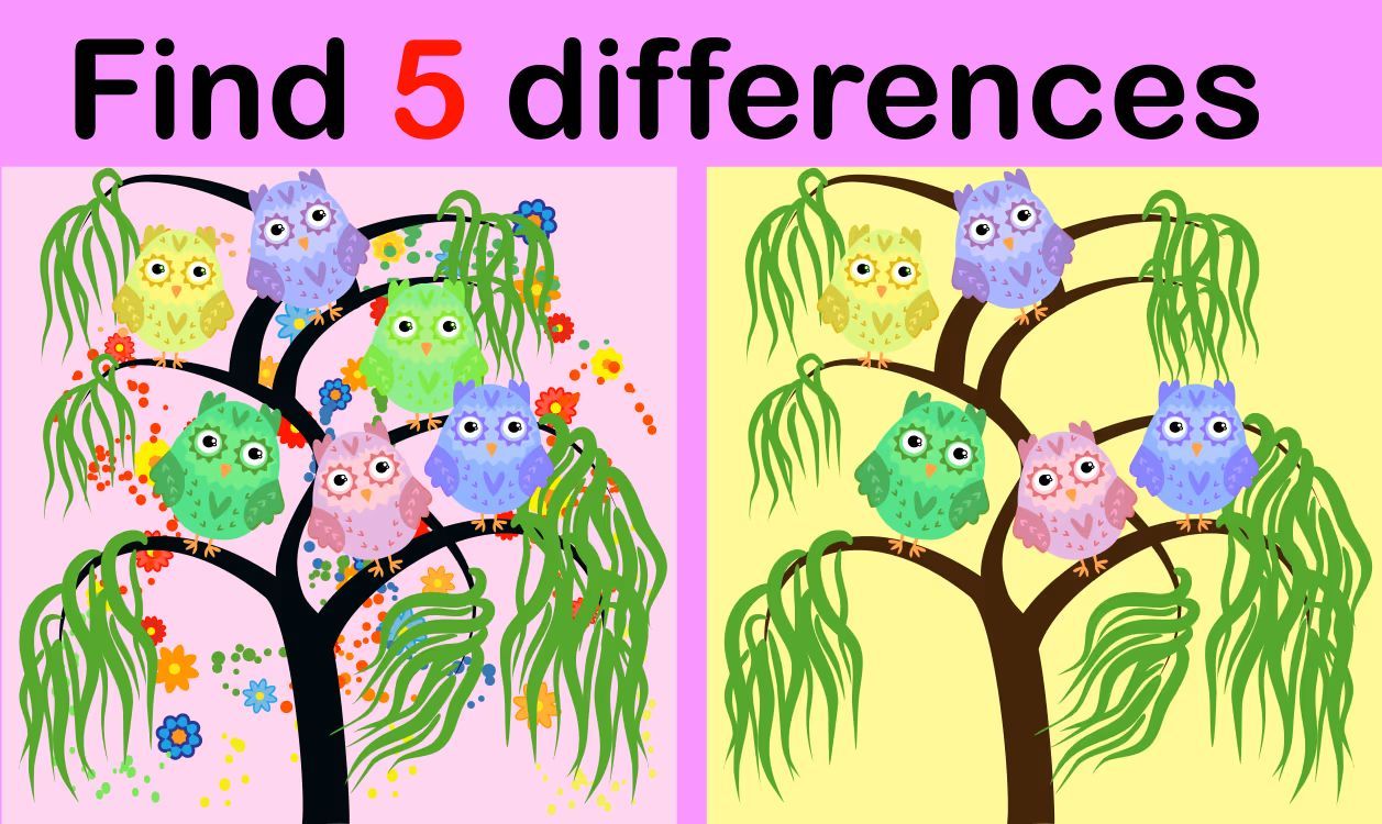 İki Resim Arasındaki 5 Farkı Bul