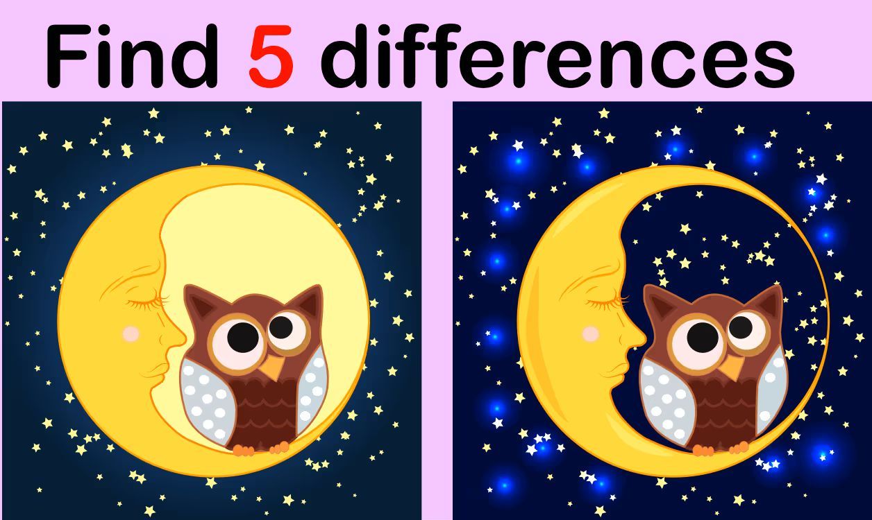 İki Resim Arasındaki 5 Farkı Bul