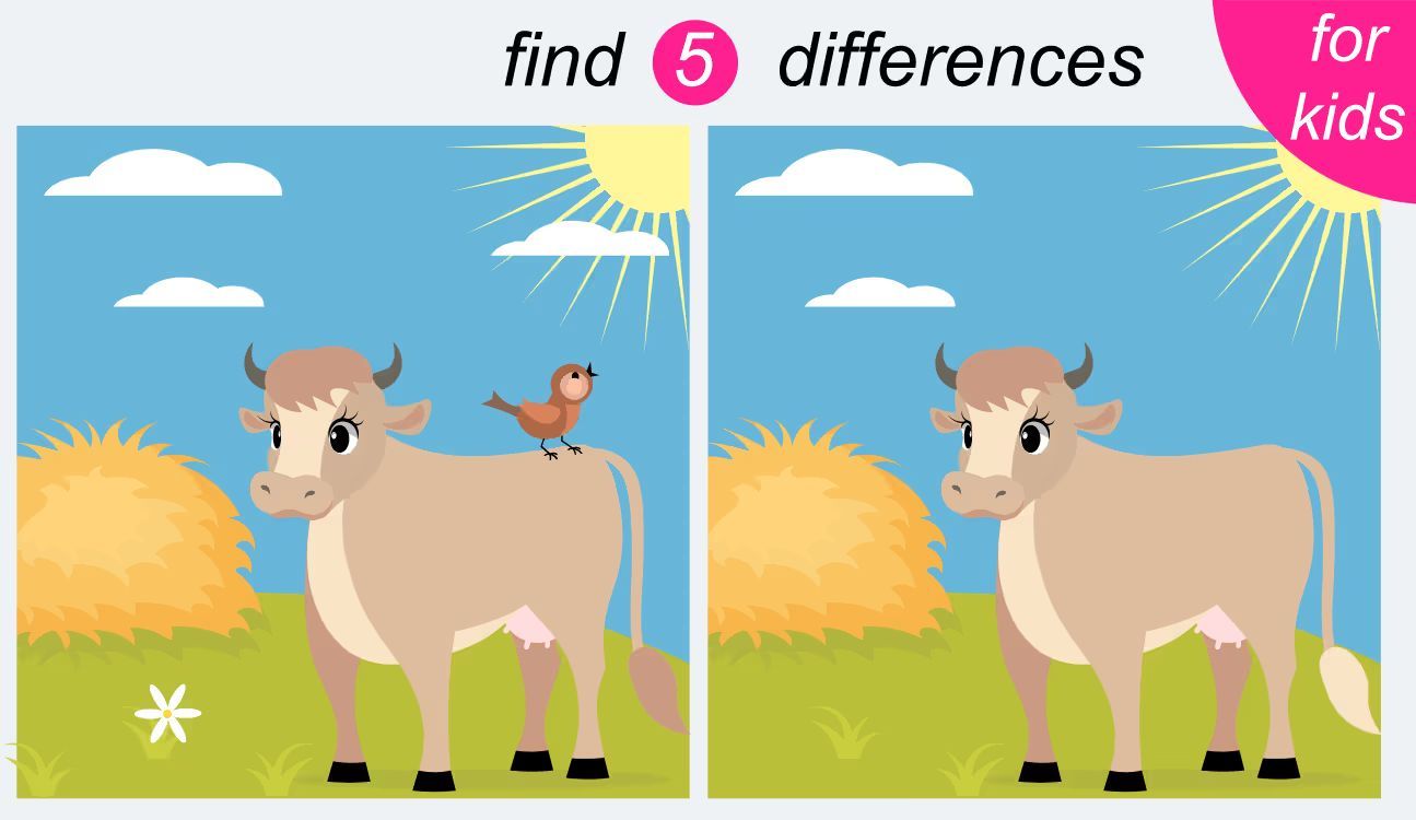 İki Resim Arasındaki 5 Farkı Bul