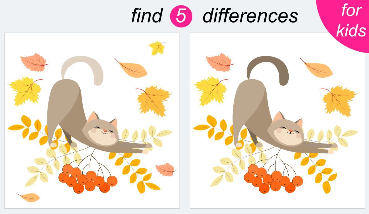 İki Resim Arasındaki 5 Farkı Bul