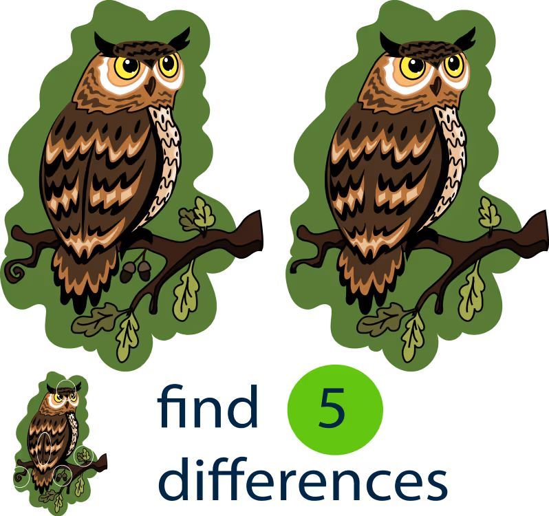 İki Resim Arasındaki 5 Farkı Bul