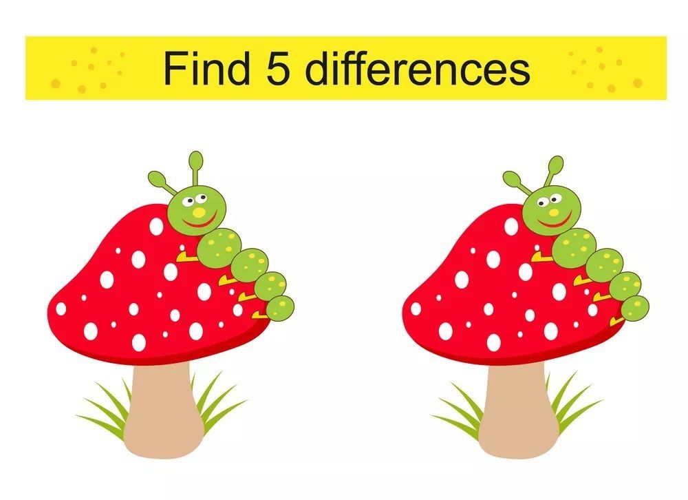 İki Resim Arasındaki 5 Farkı Bul