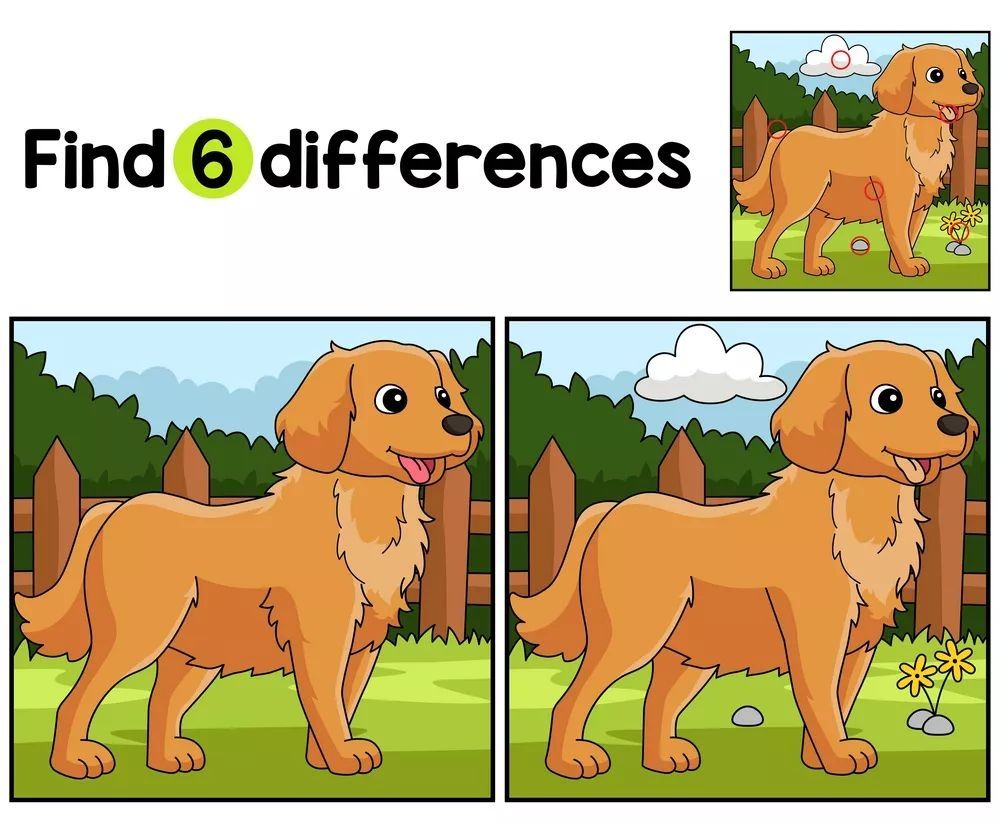 İki Resim Arasındaki 6 Farkı Bul