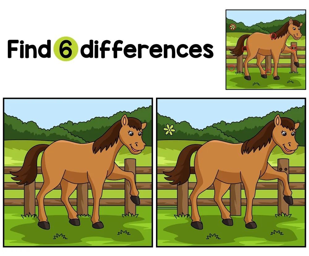 İki Resim Arasındaki 6 Farkı Bul