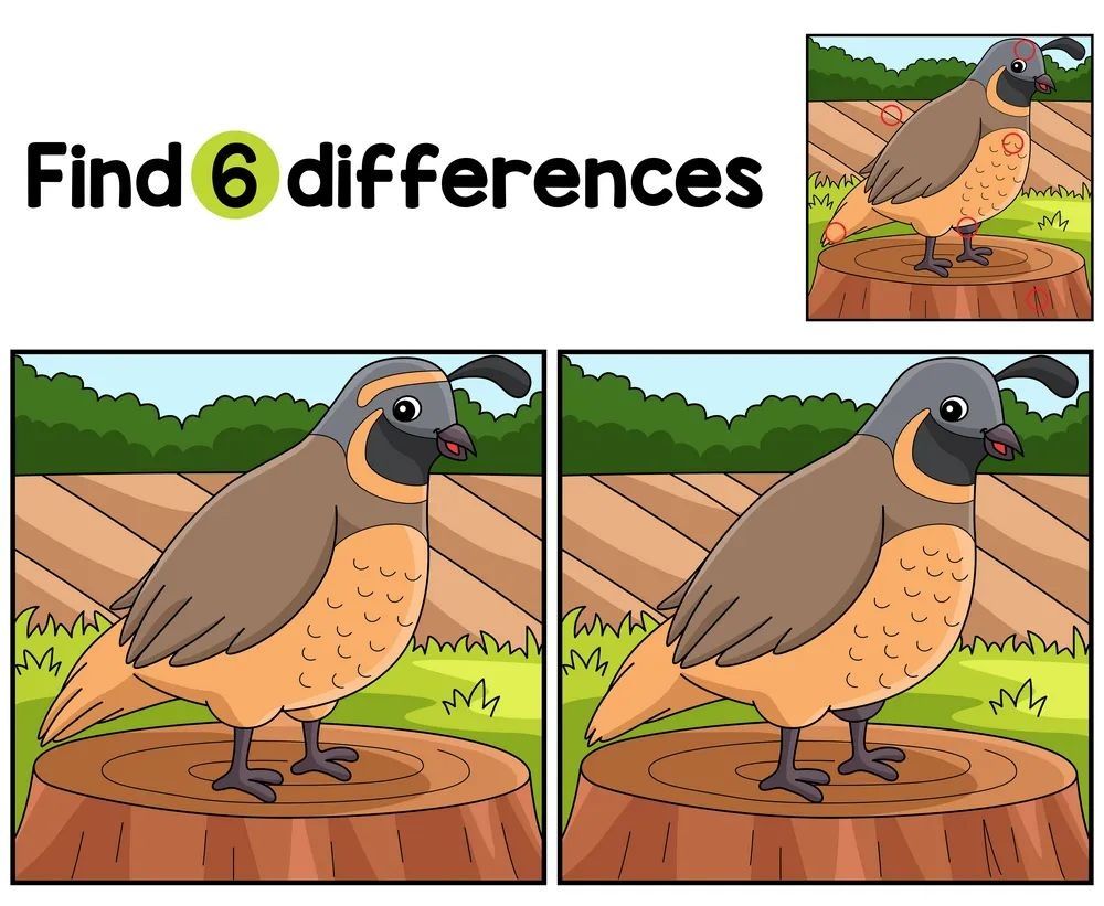 İki Resim Arasındaki 6 Farkı Bul