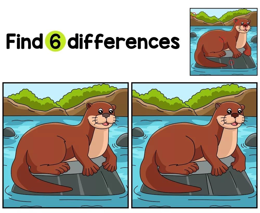 İki Resim Arasındaki 6 Farkı Bul