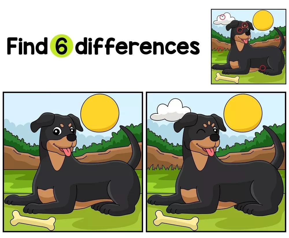 İki Resim Arasındaki 6 Farkı Bul