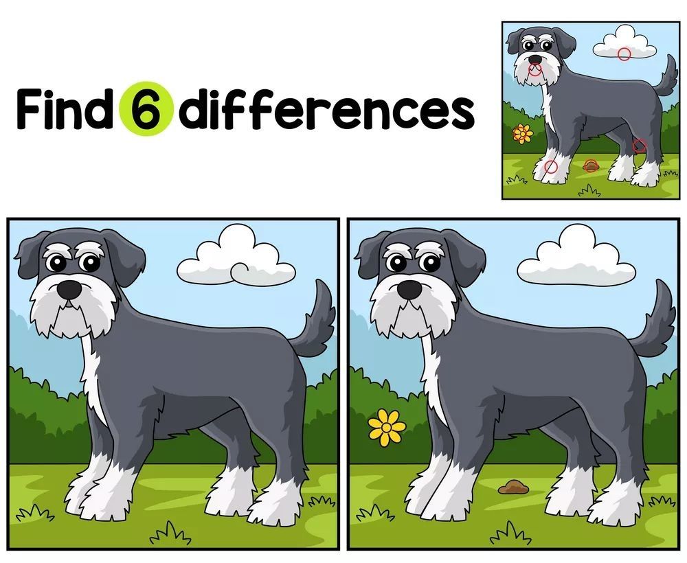 İki Resim Arasındaki 6 Farkı Bul