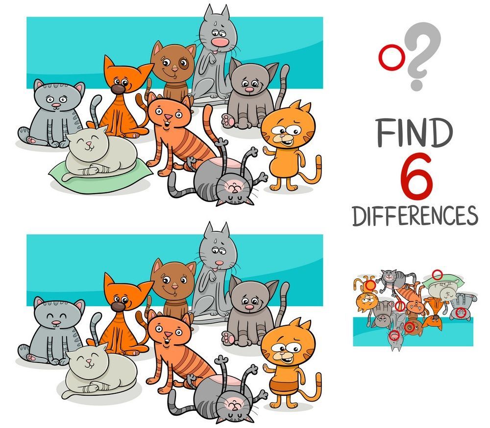 İki Resim Arasındaki 6 Farkı Bul