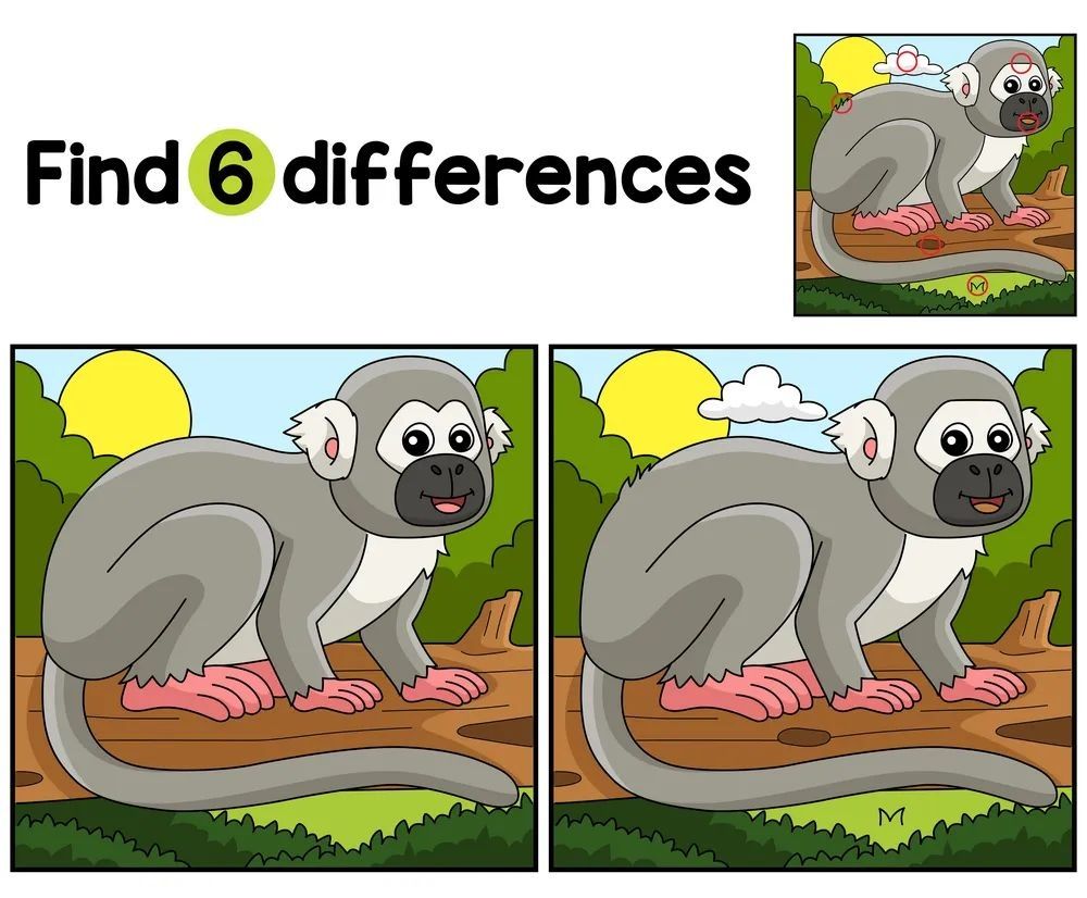 İki Resim Arasındaki 6 Farkı Bul