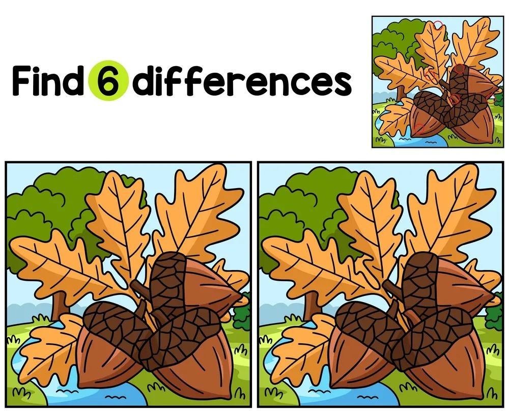 İki Resim Arasındaki 6 Farkı Bul