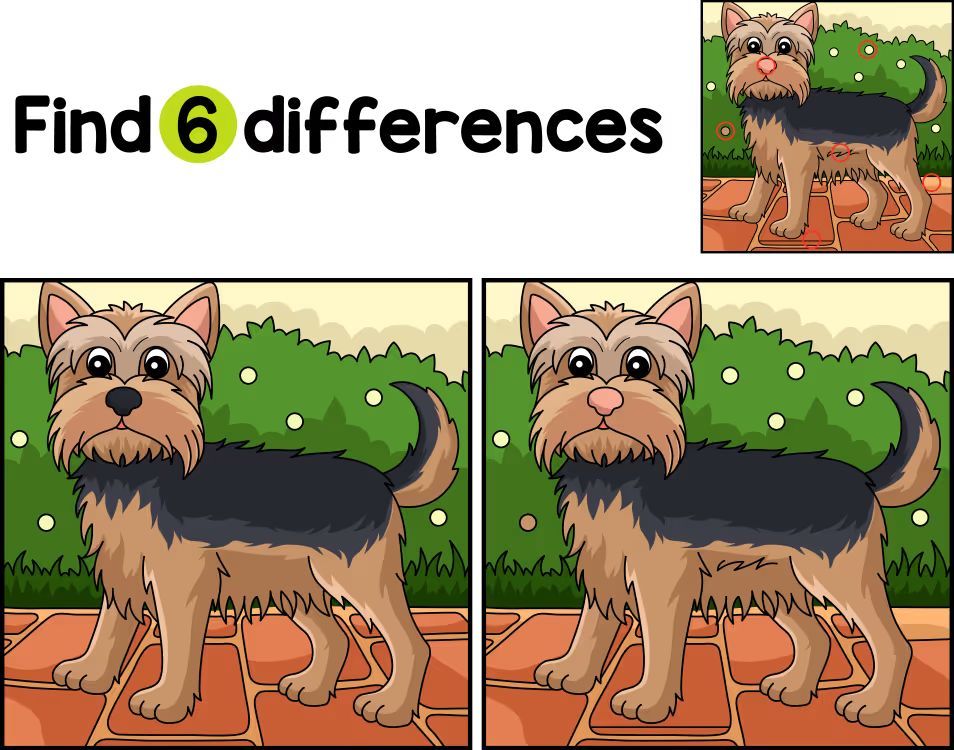 İki Resim Arasındaki 6 Farkı Bul
