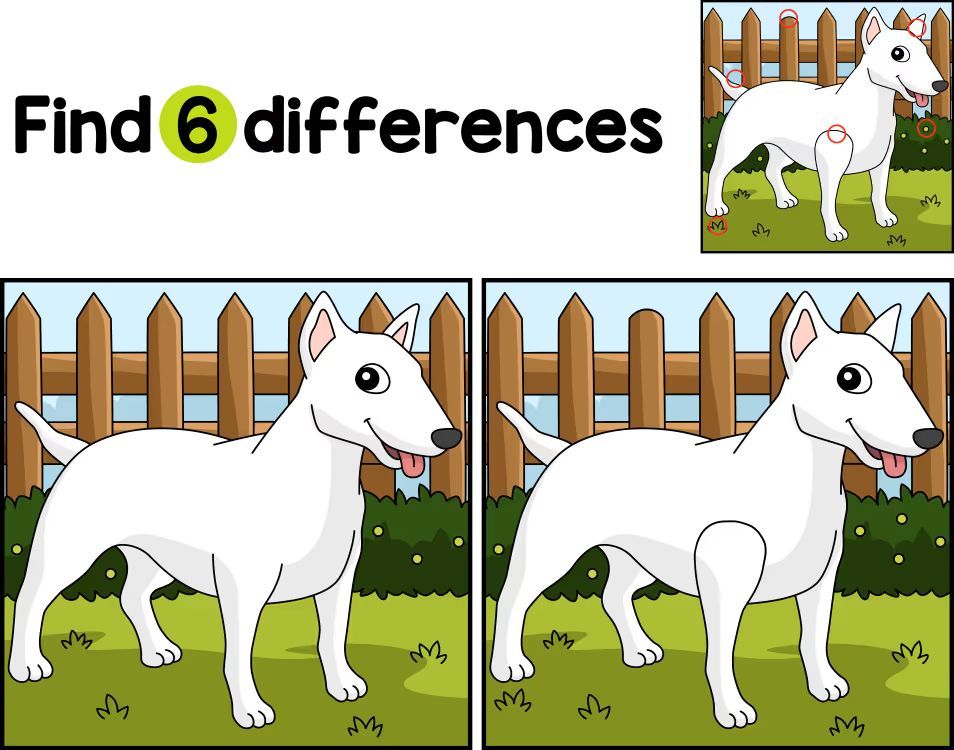 İki Resim Arasındaki 6 Farkı Bul