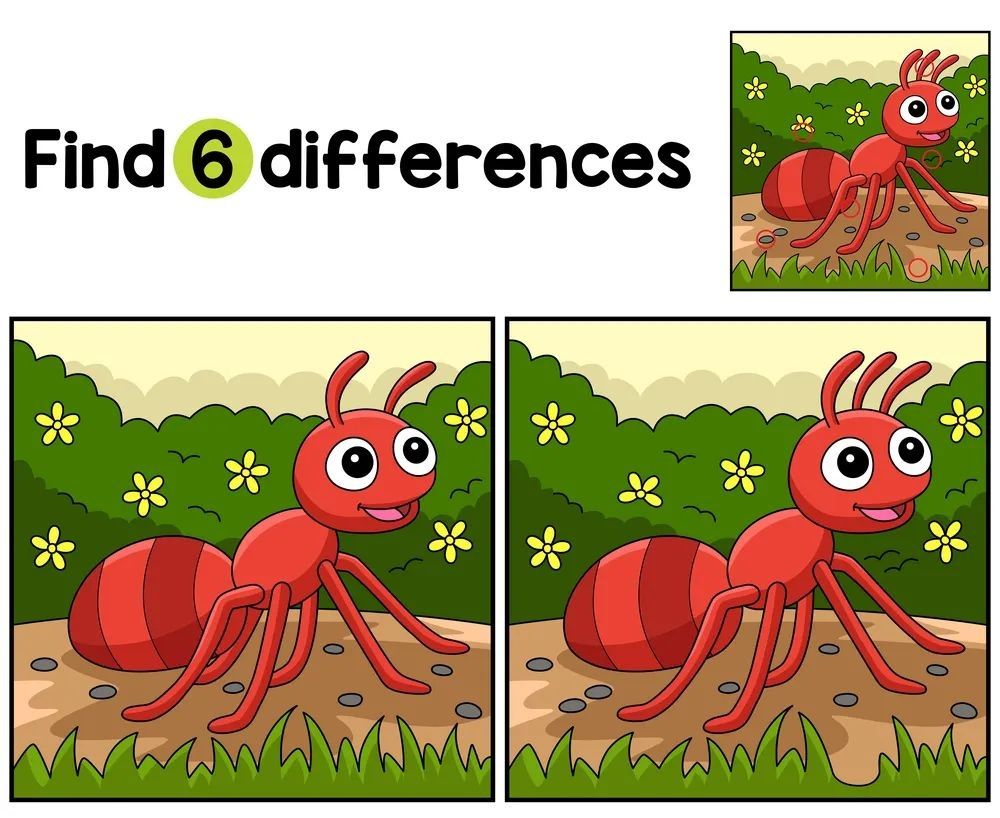 İki Resim Arasındaki 6 Farkı Bul