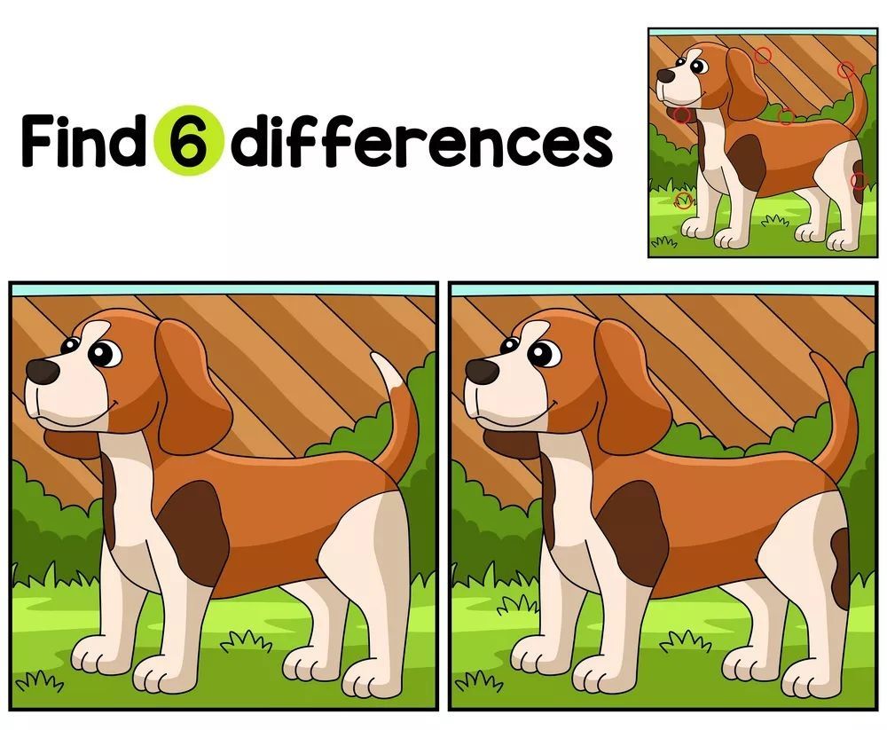 İki Resim Arasındaki 6 Farkı Bul