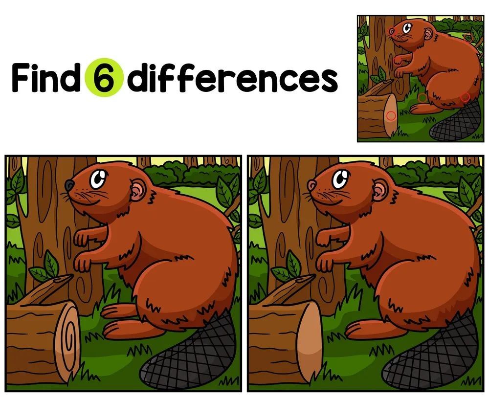 İki Resim Arasındaki 6 Farkı Bul