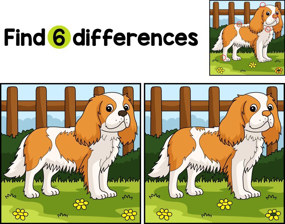 İki Resim Arasındaki 6 Farkı Bul