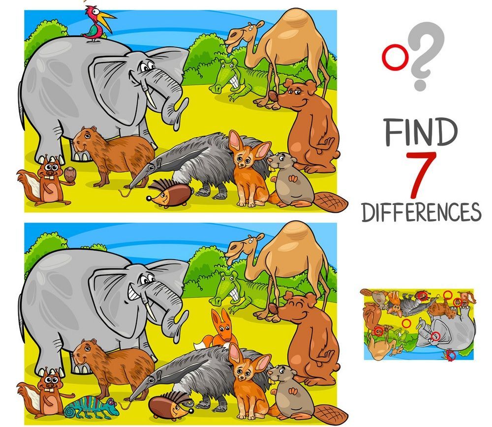 İki Resim Arasındaki 7 Farkı Bul