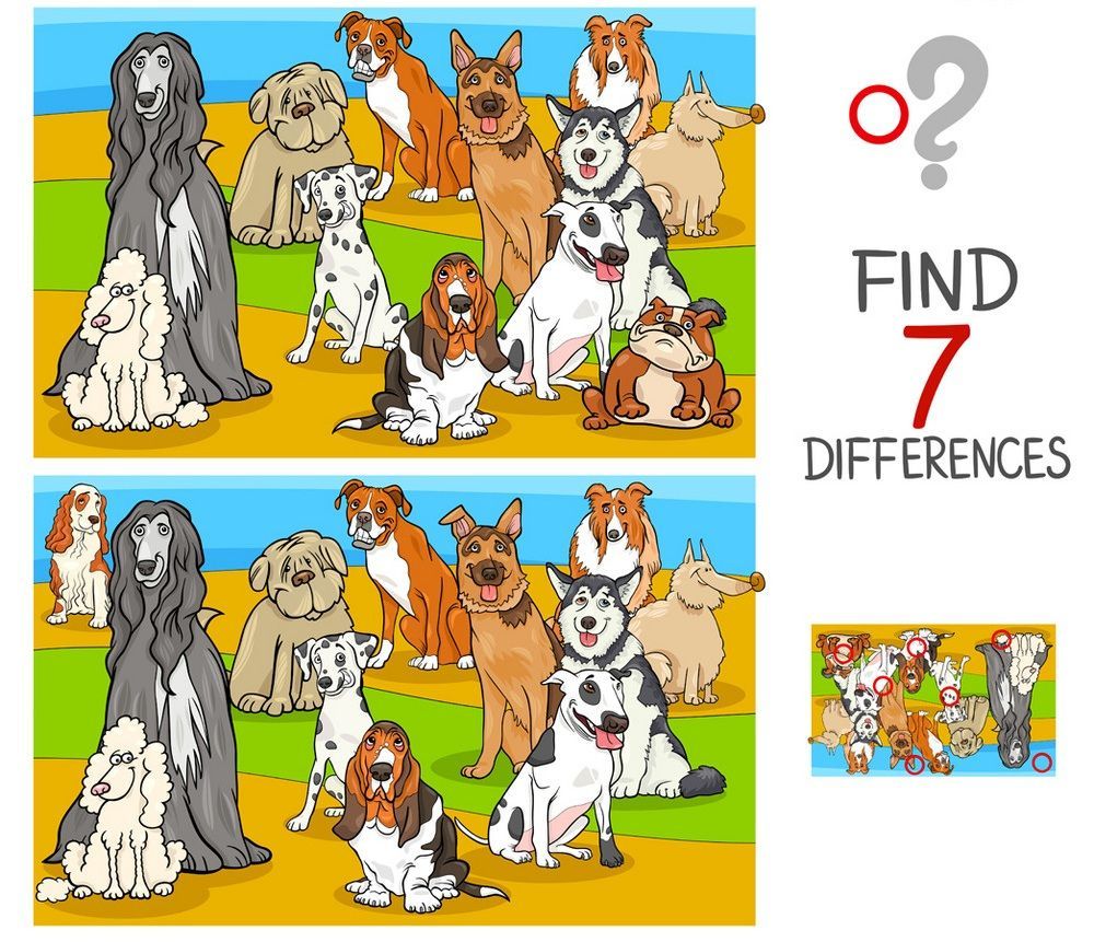 İki Resim Arasındaki 7 Farkı Bul