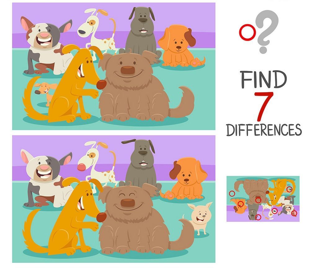 İki Resim Arasındaki 7 Farkı Bul