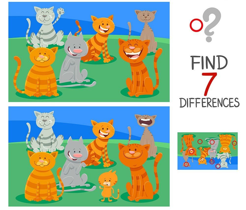 İki Resim Arasındaki 7 Farkı Bul