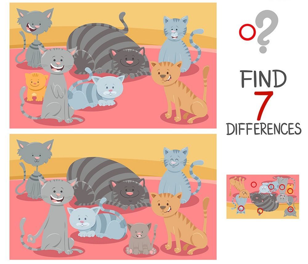 İki Resim Arasındaki 7 Farkı Bul