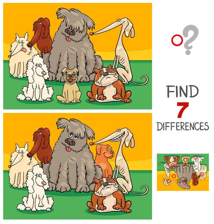 İki Resim Arasındaki 7 Farkı Bul