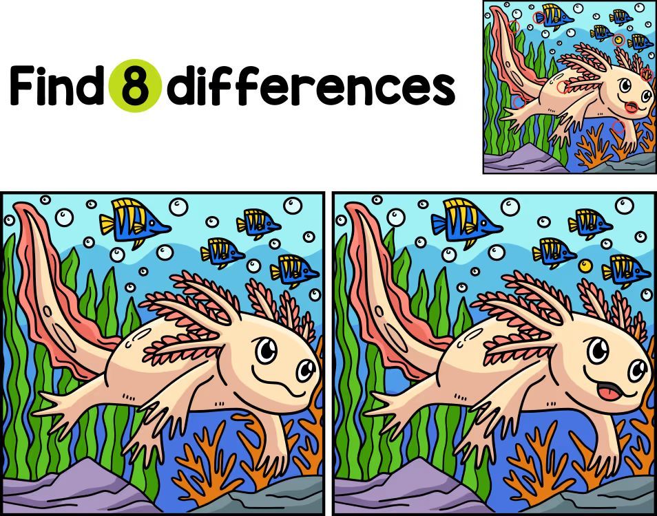 İki Resim Arasındaki 8 Farkı Bul