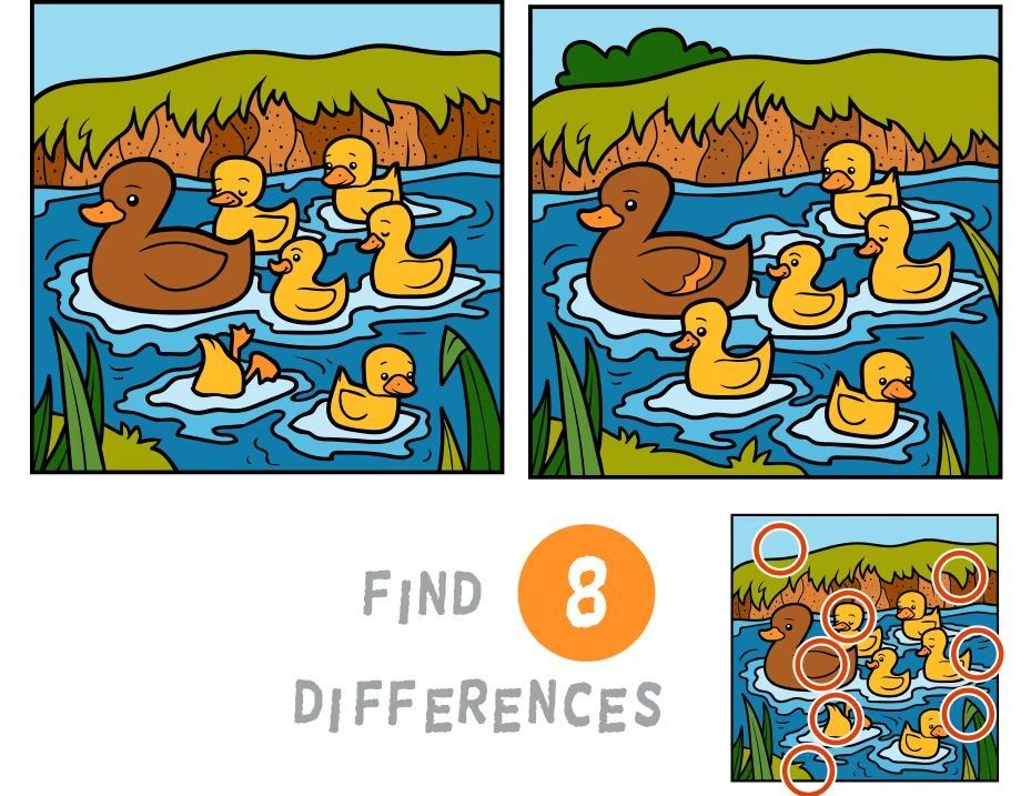 İki Resim Arasındaki 8 Farkı Bul