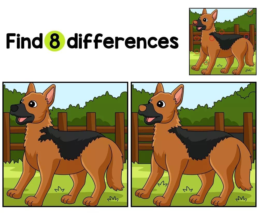 İki Resim Arasındaki 8 Farkı Bul