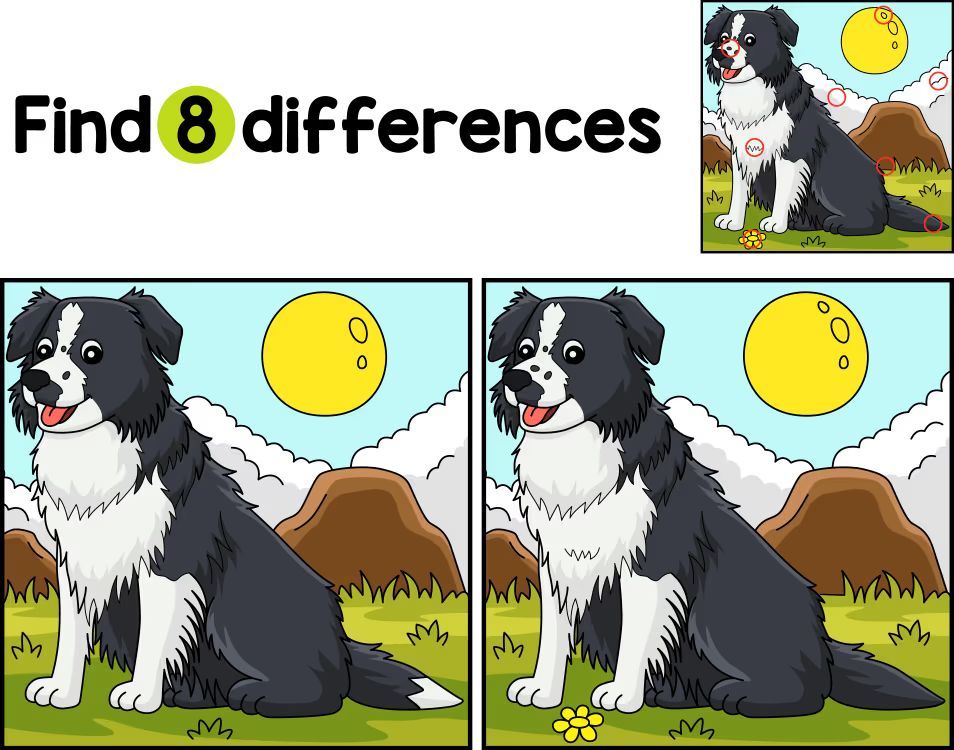 İki Resim Arasındaki 8 Farkı Bul
