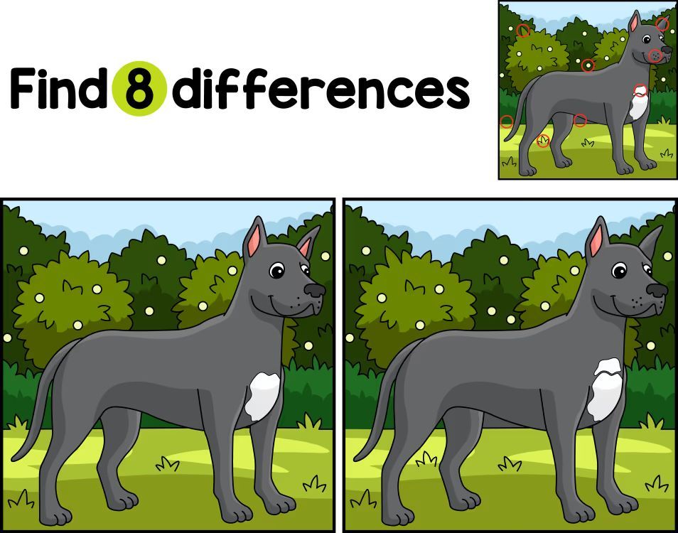 İki Resim Arasındaki 8 Farkı Bul