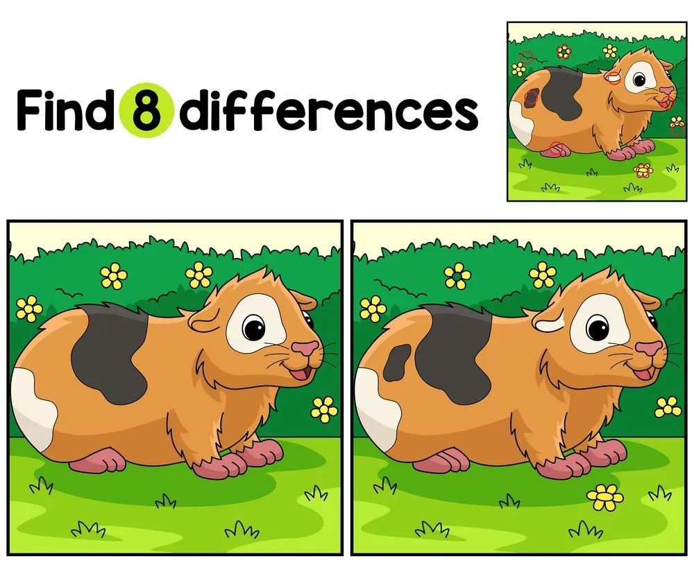 İki Resim Arasındaki 8 Farkı Bul