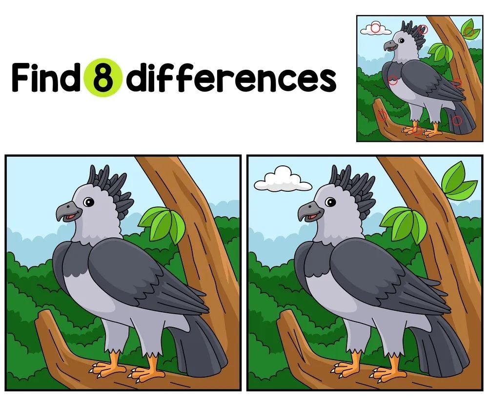 İki Resim Arasındaki 8 Farkı Bul