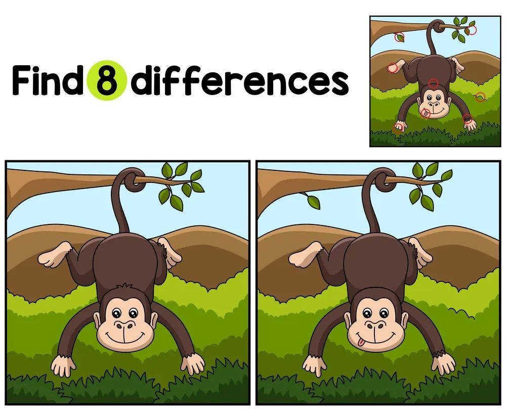 İki Resim Arasındaki 8 Farkı Bul