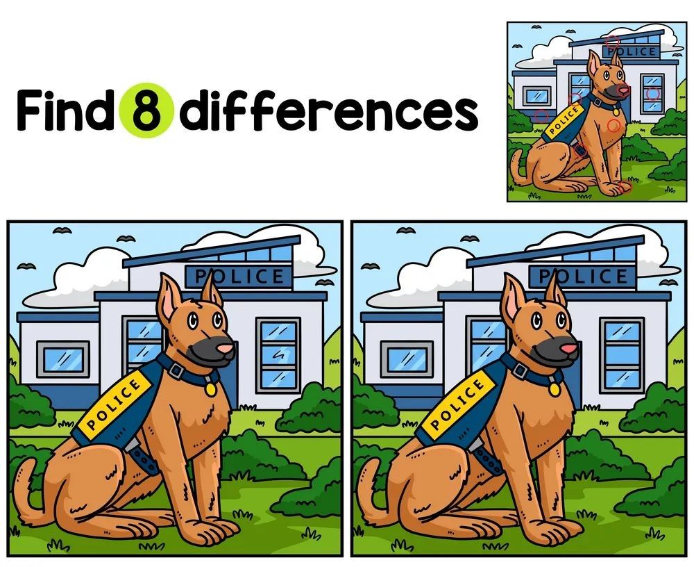 İki Resim Arasındaki 8 Farkı Bul