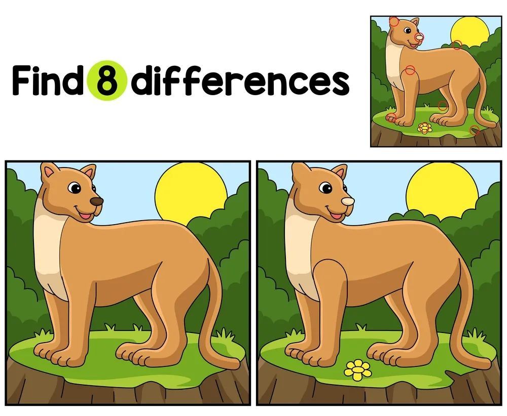 İki Resim Arasındaki 8 Farkı Bul