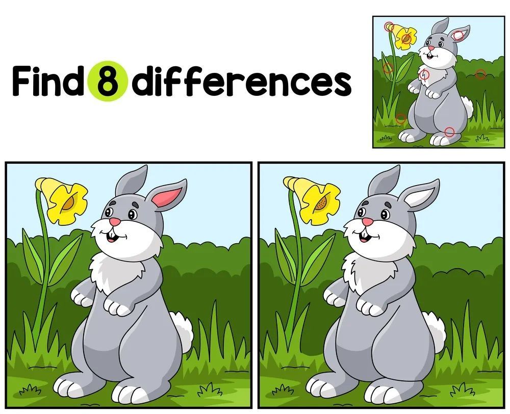 İki Resim Arasındaki 8 Farkı Bul