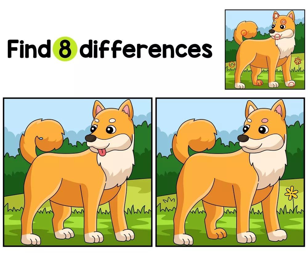 İki Resim Arasındaki 8 Farkı Bul