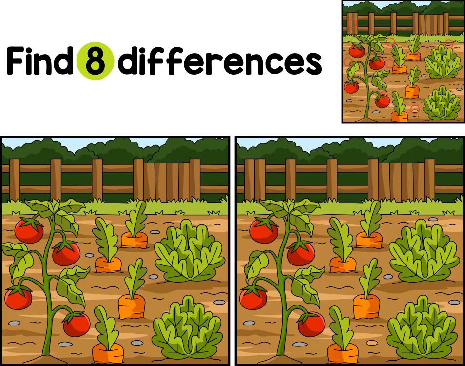 İki Resim Arasındaki 8 Farkı Bul