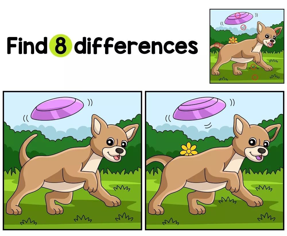 İki Resim Arasındaki 8 Farkı Bul