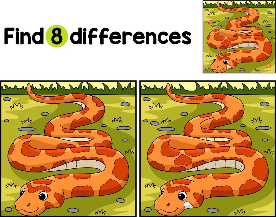 İki Resim Arasındaki 8 Farkı Bul