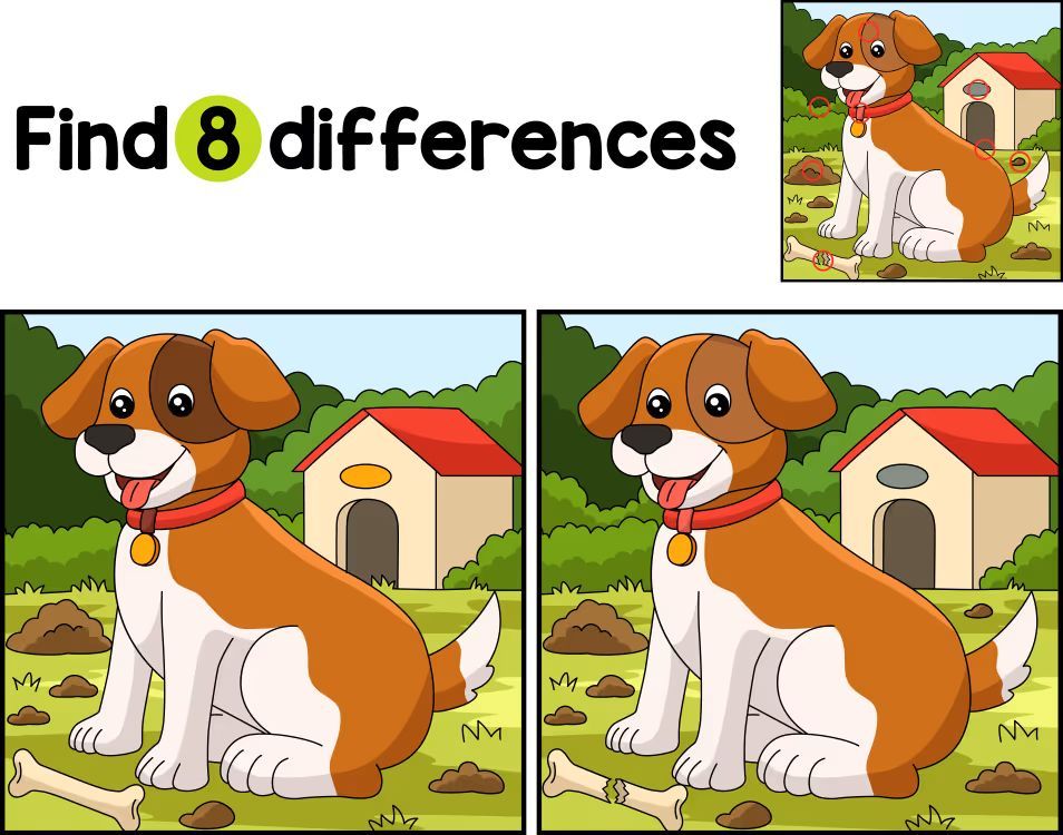 İki Resim Arasındaki 8 Farkı Bul